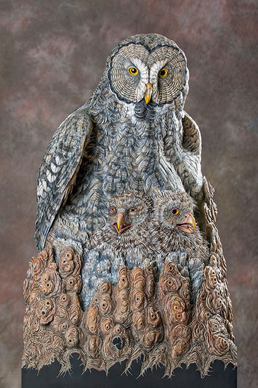 Nesting Owls